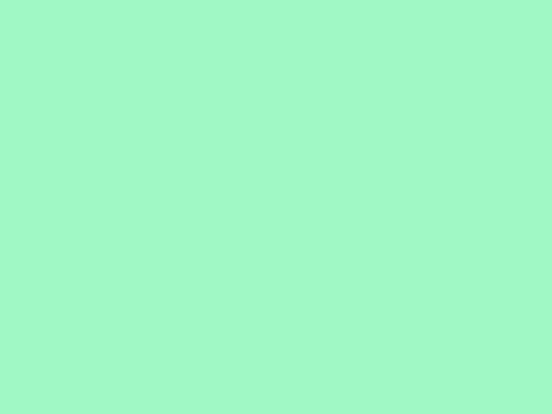 #A0F8C5 color image