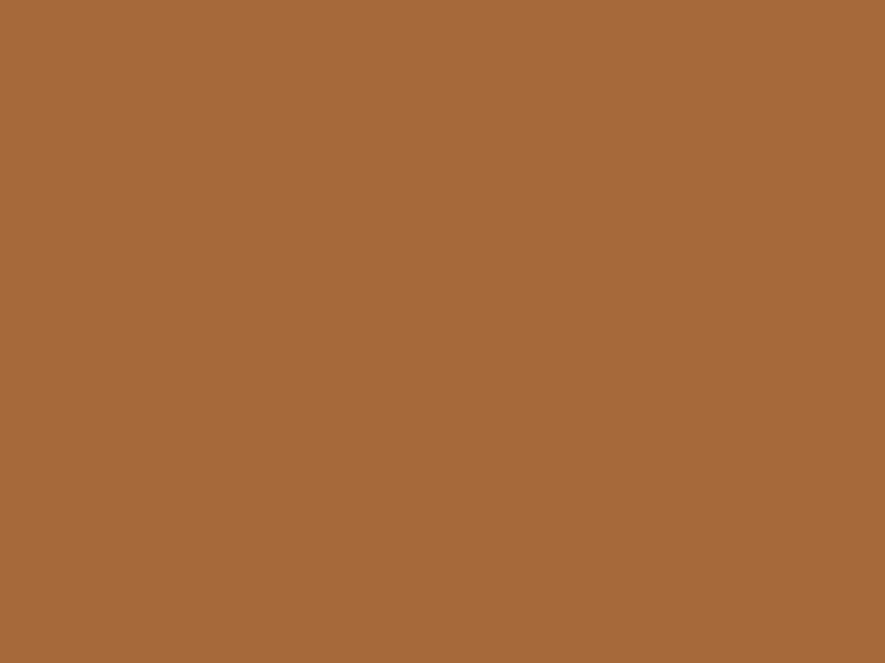 #A96A3A color image