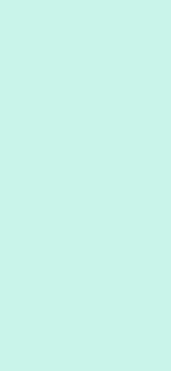 #C9F4E9 color image