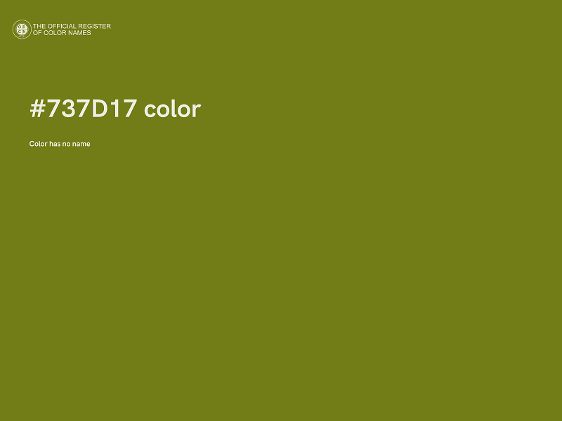 #737D17 color image