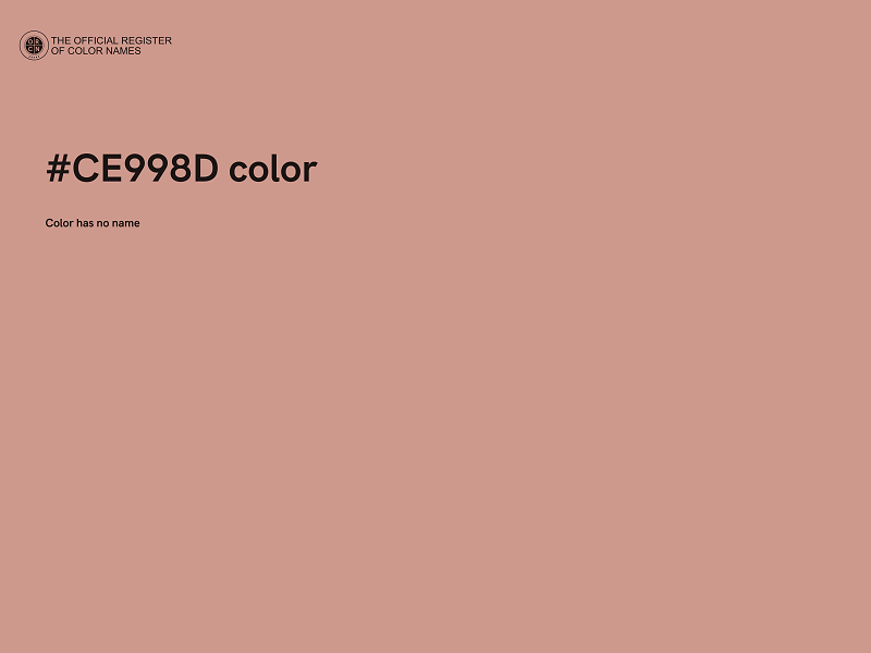 #CE998D color image